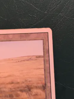 Wizards of the Coast Savannah MTG Land White Green Revised Rare Rob Alexander - Image 3