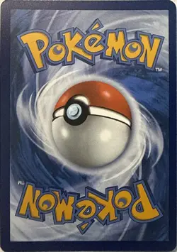 Pidgeotto 208/197 Illustration Rare Obsidian Flames Pokemon NM - Image 2