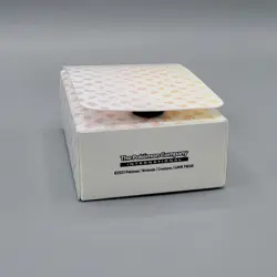 Pokemon 151 Rainbow Kanto Deck Box TCG Card Storage Case w Divider - Image 4