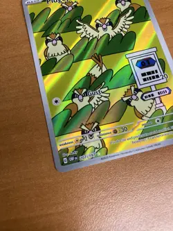 Pidgeot 225 SIR IR Rare Pidgey 207 Pidgeotto 208 TCG Pokemon OBF Card Set NM - Image 3