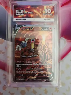 Entei v SAR 213/172 S12a VSTAR Pokemon Card Japanese Ace 10 Gem Mint - Image 1
