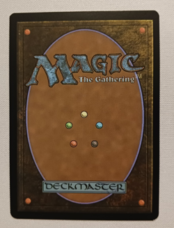 Misty Rainforest (Foil) (Extended Art) - Modern Horizons 2 - NM - MTG - Image 2