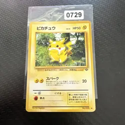 Pikachu old back ● 2nd expansion pack Pokemon Jungle 1 - Image 1