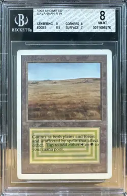 Vintage 1993 Unlimited Savannah Magic the Gathering BGS 8 Near-Mint - Mint - Image 1