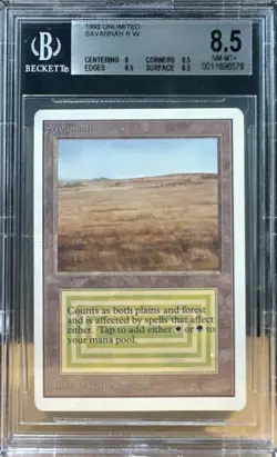 Vintage Unlimited 1993 Savannah Magic the Gathering BGS 8.5 Near-Mint - Mint+ - Image 1