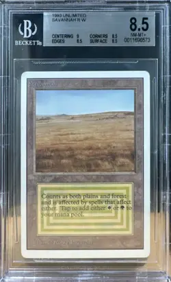 1993 MTG Unlimited Savannah Magic the Gathering BGS 8.5 Near Mint+ - Image 1