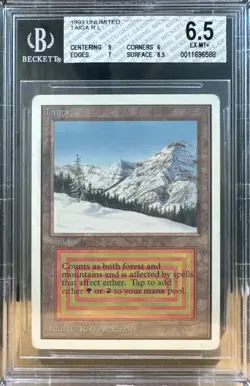 1993 MTG Unlimited Taiga Magic the Gathering BGS 6.5 EX-MT+, Excellent-Mint+ - Image 1