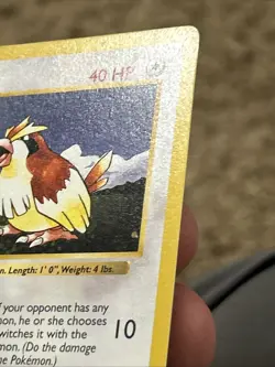 Pidgey 57/102 Base Set (Shadowless) Plus Shown Cards, One Price For All Cards - Image 4