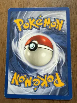 Pokemon Card Lot - Shining Tyranitar, 1st Ed Blissey, Ho Oh, Entei, Charizard 636996769739 - Image 3