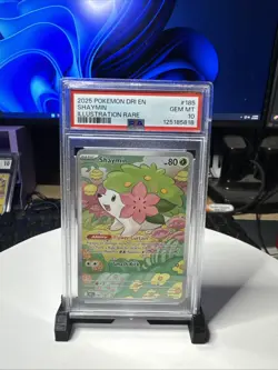 2025 POKEMON DRI EN-DESTINED RIVALS ILLUSTRATION RARE #185 SHAYMIN PSA 10 - Image 1