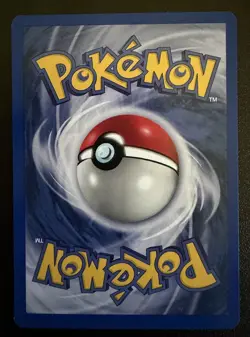 Wizards Pokemon TCG Base Set 1999 Machoke 34/102 Gyarados 6/102 Holo Lot - Image 3