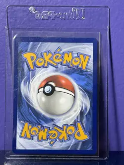 NM Pokemon TCG Feraligatr #213 Illustration Contest 2024 Black Star Promo - Image 2