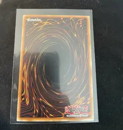 1ST EDITION PREDAPLANT PTERAPENTHES 1996 FUEN-EN003 YUGIOH CARD - Image 2
