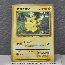 Pokemon Pikachu No.25 Jungle Set Japanese - Image 2