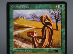 MTG Citanul Druid Antiquities AQ ATQ MAGIC The Gathering 566636 - Image 2