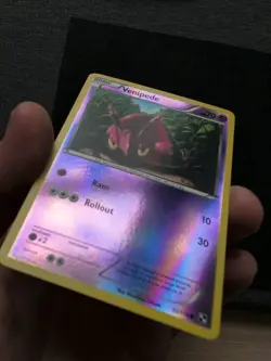 Pokemon TCG Venipede Black and White 52/114 Reverse Holo Common - Image 3