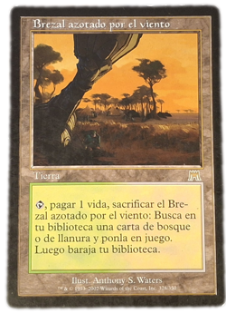 Windswept Heath Spanish Onslaught MP MTG Magic - Image 1