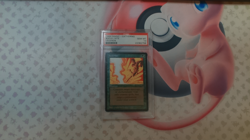 Avoid Fate (Legends) Low POP (20) PSA 10 Magic The Gathering - Image 1