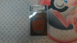 Avoid Fate (Legends) Low POP (20) PSA 10 Magic The Gathering - Image 2