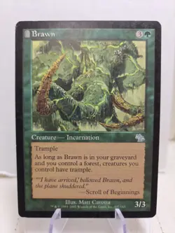 MTG Magic the Gathering Brawn (107/143) Judgment LP - Image 1