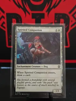 Spirited Companion MTG BLC 0155 Common NM - Image 1