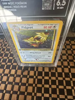 1999 Pokemon Jungle Pidgeot 1st Edition Holo Rare , TAG6.5, #8/64, - Image 2