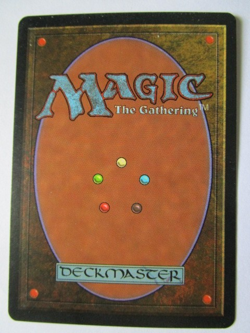 MTG Wall Of Souls Stronghold Light Play!! - Image 2
