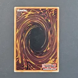 Yugioh TCG - Royal Tribute - DR1-EN039 - LP/NM - unlimited Edition - Spell Card - Image 5