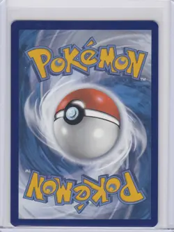 Pikachu Holo Promo SV: Scarlet & Violet Promo Cards 027 NM - Image 2