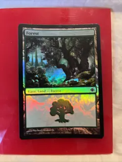 MTG Innistrad Midnight Forest Foil #384 Magic the Gathering - Image 1
