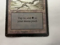 Swamp - 1993 Magic the Gathering - Limited Edition Beta Regular - Image 3