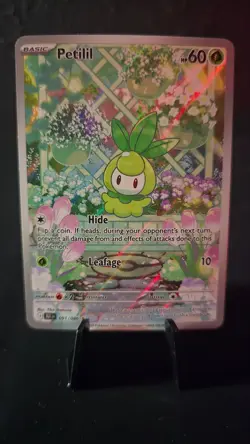 English Pokemon Black Bolt Petilil Illustration Rare 091/086 NM - Image 1