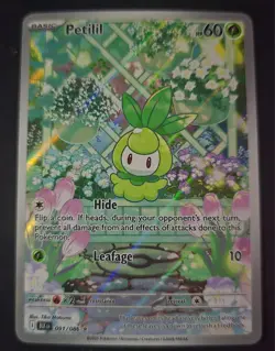 English Pokemon Black Bolt Petilil Illustration Rare 091/086 NM - Image 3