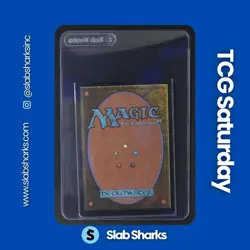 2024 MAGIC: THE GATHERING BLOOMBURROW #303 DOUR PORT-MAGE FOIL - Image 2