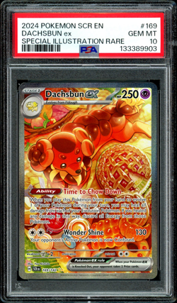 2024 Pokemon Stellar Crown Dachsbun Ex Special Illustration Rare #169/142 PSA 10 - Image 1