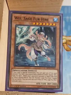 Wiz, Sage Fur Hire MP19-EN252 2019 Gold Sarcophagus Tin Mega Pack 1st Edition - Image 1