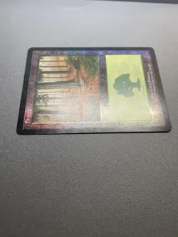 Forest 1993-2001 Foil 347/350 MAGIC THE GATHERING HP - Image 3
