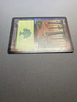 Forest 1993-2001 Foil 347/350 MAGIC THE GATHERING HP - Image 5