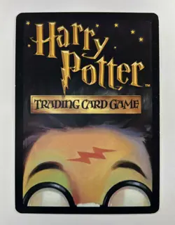 Harry Potter Diagon Alley CCG Card Lee Jordan Wizard 19/80 MP - Image 2