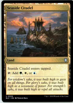 Seaside Citadel 329 Uncommon Commander: Bloomburrow Near Mint - Image 2