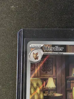 Pokemon TCG Sv: White Flare - Herdier 155/086 Illustration Rare - English - Image 2