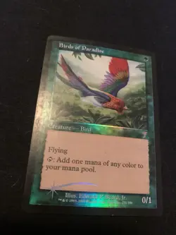 Birds of Paradise 2001 Magic the Gathering MtG 7th Edition Foil TCG Card - Image 2