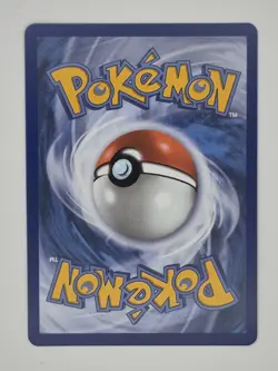 Pokemon Cynthia's Garchomp ex 215/182 Destined Rivals NM Fresh Pull DRI - Image 2