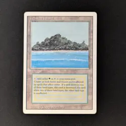 MTG \>> Tropical Island (LP) <<// Revised - 341 Trading - Magic - Image 1