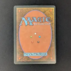 MTG \>> Savannah (EX) <<// Foreign Black Bordered - 341 Trading - Magic - Image 2