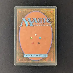 MTG \>> Tropical Island (LP) <<// Foreign Black Bordered - 341 Trading - Magic - Image 2