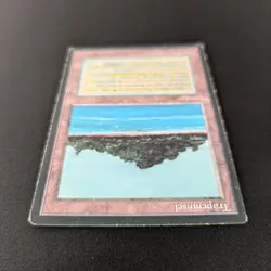 MTG \>> Tropical Island (LP) <<// Foreign Black Bordered - 341 Trading - Magic - Image 4