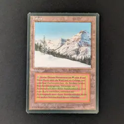 MTG \>> Taiga (EX) <<// Foreign Black Bordered - 341 Trading - Magic - Image 1