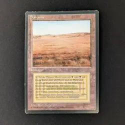 MTG \>> Savannah (PO) <<// Foreign Black Bordered - 341 Trading - Magic - Image 1