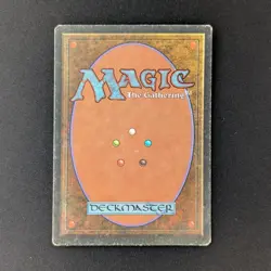MTG \>> Savannah (PO) <<// Foreign Black Bordered - 341 Trading - Magic - Image 2